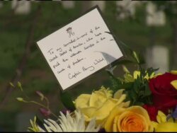 Prince Harry visits Arlington Cemetery News Clip