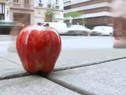 T/L The Big Apple Stock Footage