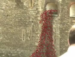 Poppy World War 1 memorial at the Tower of London News Clip