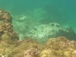 Underwater view Stock Footage