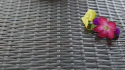 Being serve dish of fresh Fruit salad Stock Footage