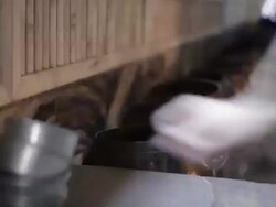 donate money to a Buddhist temple (Time Lapse) Stock Footage