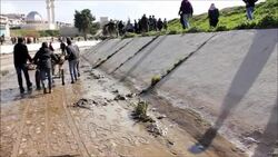 CLEAN : Dozens found shot execution style News Clip