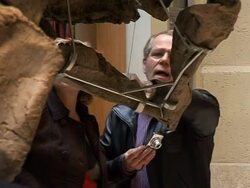 Rare triceratops skeleton goes under hammer News Clip