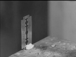 NEW LIGHT ON TOMORROW News Clip