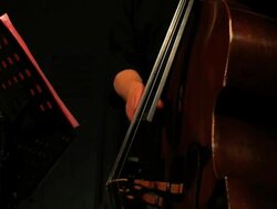 HD Male double bass player close-up Stock Footage