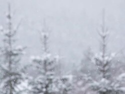 Snowing Stock Footage