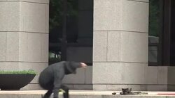 CLEAN : SKorea US military drills underway as NKorea fires missile News Clip