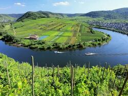 WS Boats traveling on bend in river Mosel past town / Bremm, Rhineland-Palatinate, Germany Stock Footage