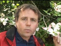 Is pollution changing the way flowers smell? Some scientists say yes. Ted Shaffrey reports from New York. News Clip