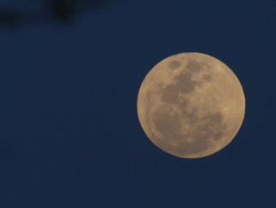 Maasai Ceremony - Full moon, sound of warriors singing, WITH AUDIO Stock Footage