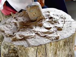 wood hammer mashed  tree bark, Stock Footage