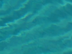 Ripples in the Pool Stock Footage