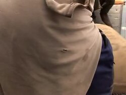 Global crisis doesn't spare cocoa News Clip