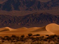 Death Valley Dunes CU 1 Stock Footage