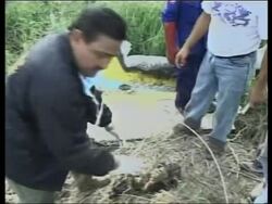 Scene of plane crash, investigators, aerials News Clip