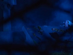 HD DOLLY: Zombie Corpse Rising From The Coffin Stock Footage