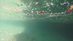 Small Bits of Litter in the Sea in Bermuda News Clip