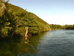 River and Nature Stock Footage