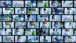 Laboratory. Video Wall Stock Footage