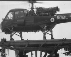 DOWN ON THE DECK News Clip