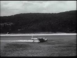 A WEDDING ON ""PARADISE"" ISLAND News Clip