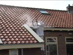 exterminating a wasp nest Stock Footage