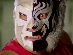 Close up luchador 'Black Tiger'/ Monterrey, Mexico Stock Footage