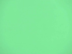 CU, Businesswoman and businessman shaking hands in studio, close-up of hands Stock Footage