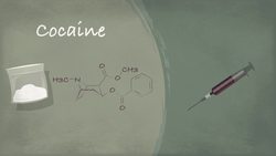 TED-Ed: How does anesthesia work? - Steven Zheng Instructional Video