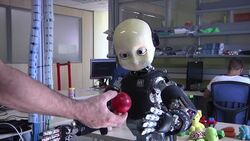 Humanoid butler on market within 18 months News Clip