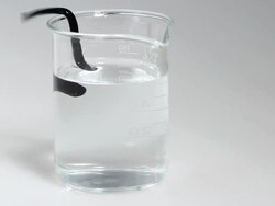 Leech in laboratory glass HD Stock Footage