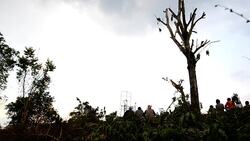 Rocket Stock Footage