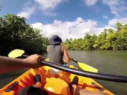 A couple kayaking at Raiatea Island on the Faaroa River, the only navigable river in French Polynesia. Stock Footage