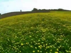 turn around meadow Stock Footage