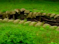 PAN World War One trench / Bayernwald Trenches, Belgium Stock Footage