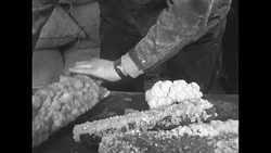 Miners in Nova Scotia extracting salt for war effort during World War II show different kinds of salt from mine News Clip