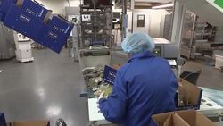 UK small business key to EU vote News Clip