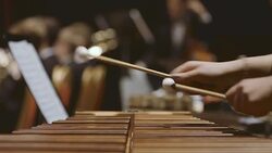 Musician playing xylophone in orchestra Stock Footage