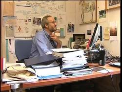 FAO on news that swine flu has spread to birds in Chile News Clip