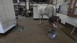 Preview of Household Cavalry's ceremonial duties at British royal wedding News Clip