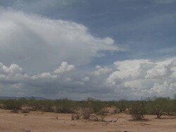 Slow Pan across Sonoran Desert, scrub in foreground, mountains in distance. Arizona, USA Stock Footage