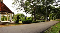 man running Stock Footage