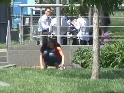 Bethenny Frankel plays her dog Cookie in New York 05/26/11 (Footage by WireImage Video/Getty Images Entertainment Video) Stock Footage