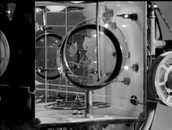 FORGET-ME-NOT News Clip