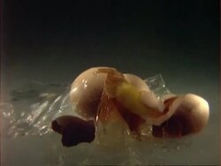 High Speed egg drops on to another egg and smashes Stock Footage