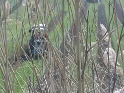 HD: agriculture Stock Footage