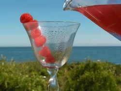 CU Shot of raspberry cocktail pouring in glass / Estepona, malaga, Spain Stock Footage
