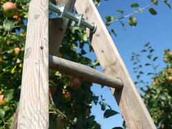 Apples and ladder Stock Footage