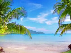Luxury tropical beach. Stock Footage